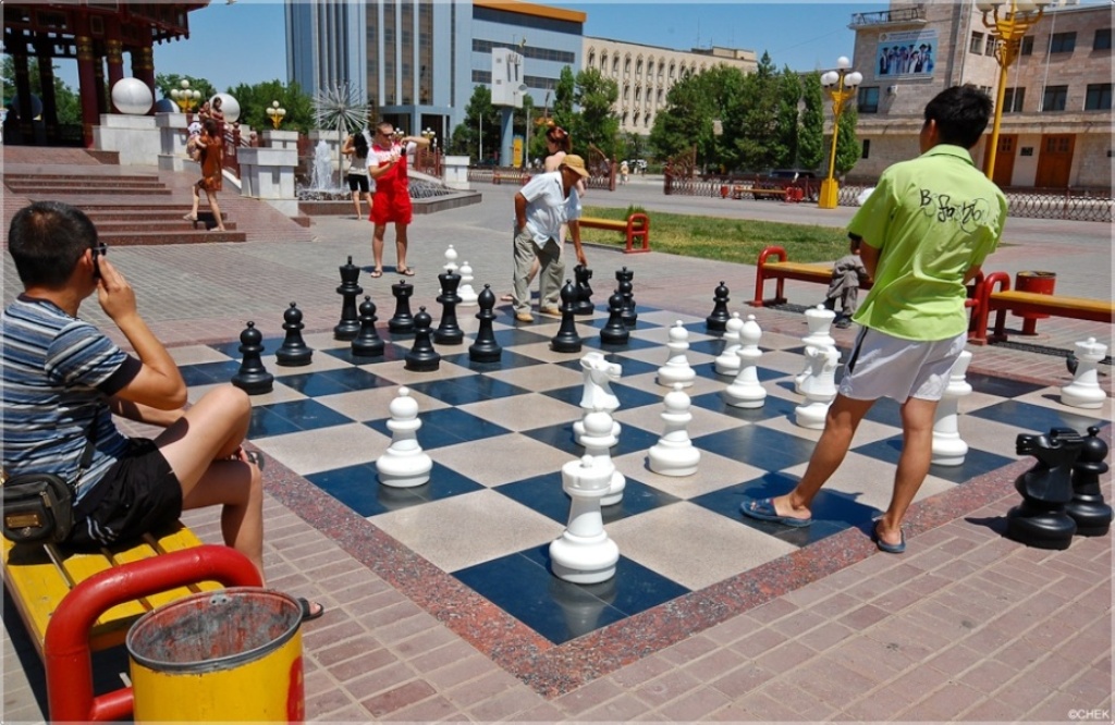 шахматы для детей играть